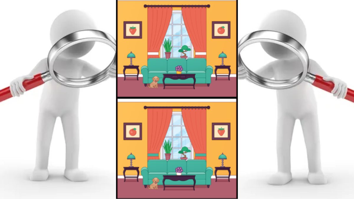 Spot Differences Between These Two Identical Looking Living Room Pictures In 30 Seconds
